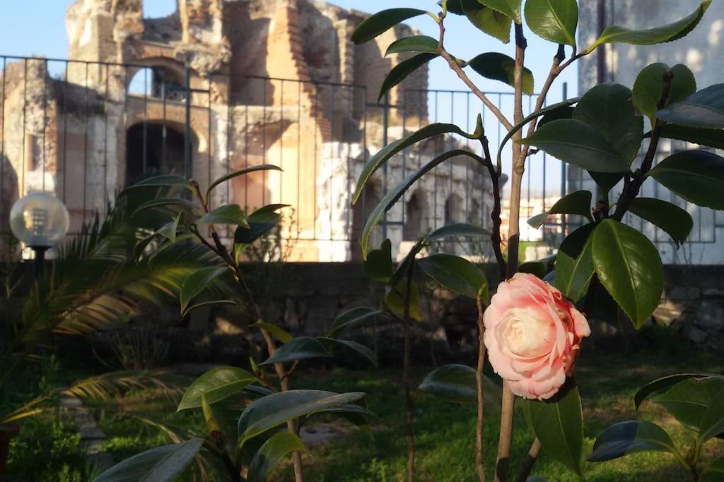 Casa Vacanze Antica Capua Santa Maria Capua Vetere Εξωτερικό φωτογραφία